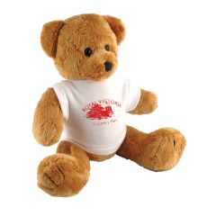 Robbie 10 Inch Bear with T-Shirt